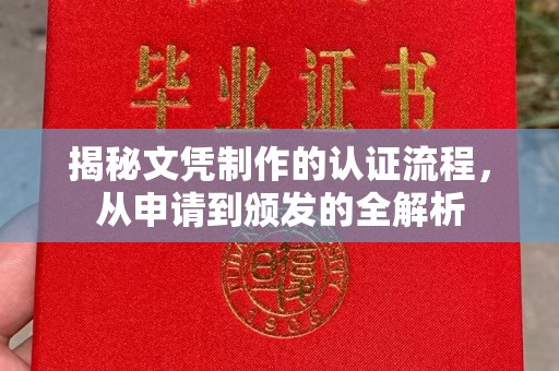 盘龙揭秘文凭制作的认证流程，从申请到颁发的全解析