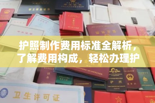 麒麟护照制作费用标准全解析，了解费用构成，轻松办理护照